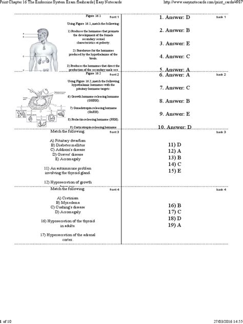 Chapter 16 Endocrine System Exam