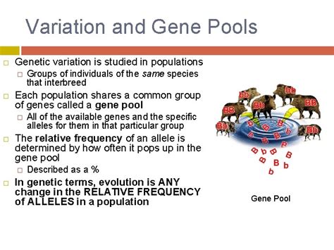 Chapter 16 Genes And Variation Answers