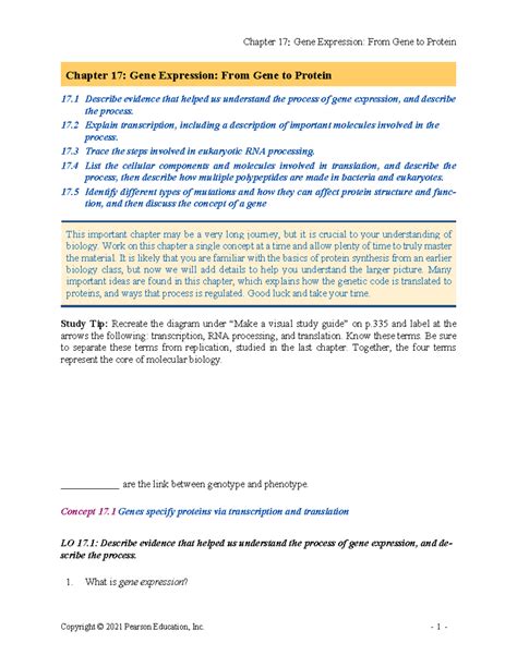 Chapter 17 Ap Bio Reading Guide Answers