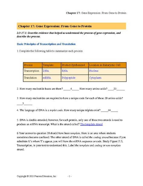 Chapter 17 From Gene To Protein Answers