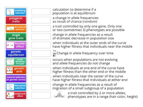 Chapter 17 Section 2 Genetic Change Quia