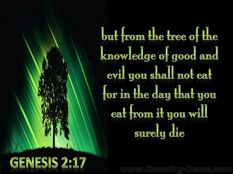 Chapter 17 The Tree Of Life Answer Key