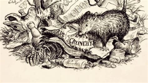 Chapter 18 Charlottes Web