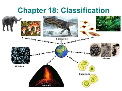 Chapter 18 Classification Section Review 2