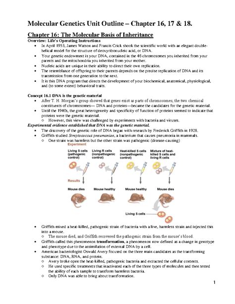 Chapter 18 Molecular Genetics Mcgraw Hill Ryerson