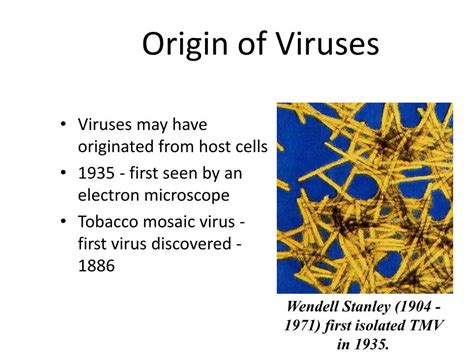 Chapter 18 Sec 2 Viruses And Prions