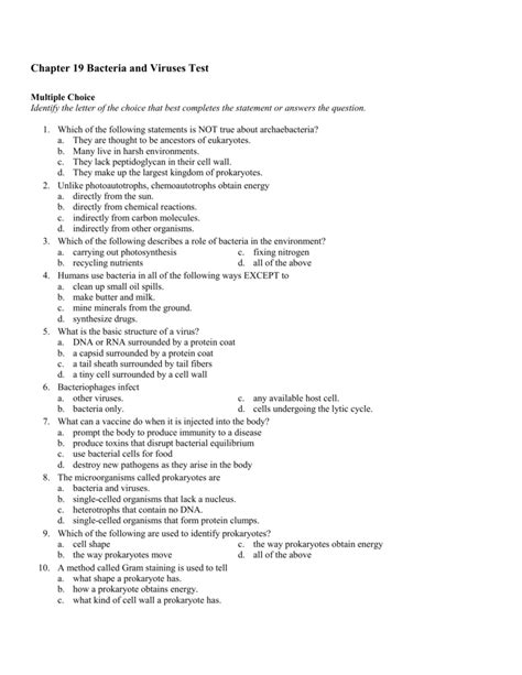 Chapter 19 Bacteria Viruses Answer Key Section Review