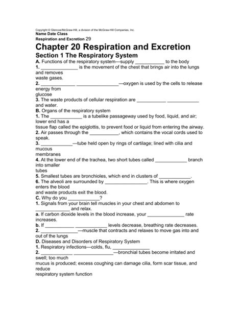 chapter 19 respiration and excretion