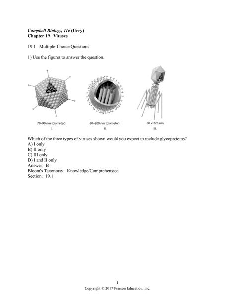 Chapter 19 Test Biology
