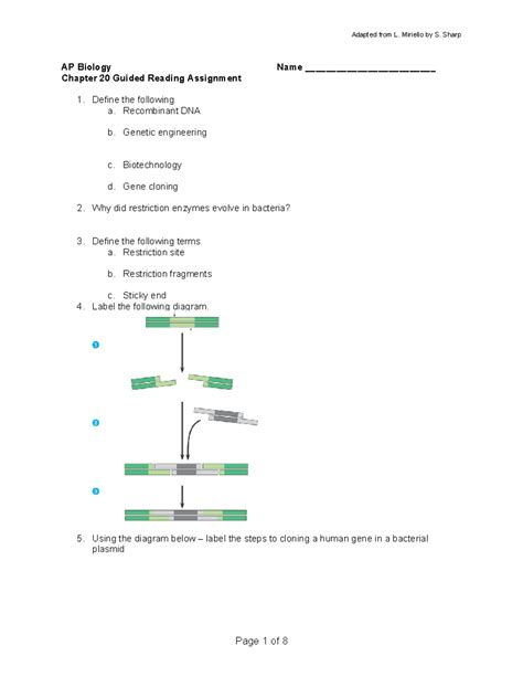 Chapter 20 Guided Reading Answers