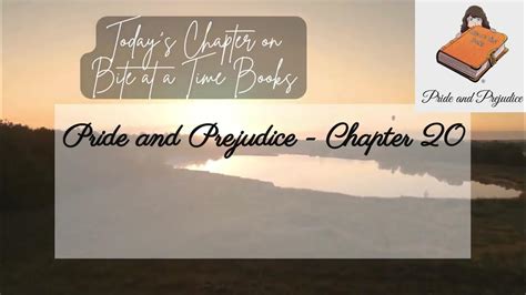 Chapter 20 Pride And Prejudice