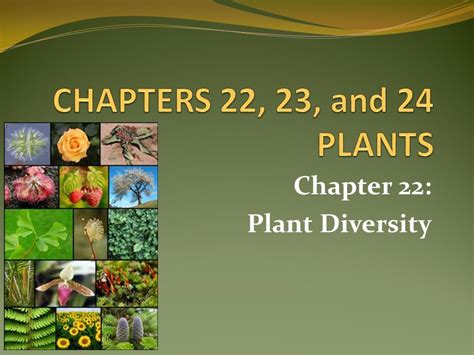 Chapter 22 Plant Diversity Answer Key Pearson Education