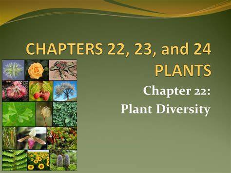 chapter 22 plant diversity se