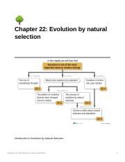 Chapter 22 The Evolution Of Populations Answer Key