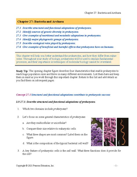 Chapter 27 Ap Bio Reading Guide Answers Quizlet