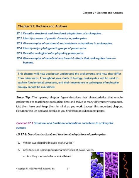 Chapter 27 Bacteria And Archaea Reading Guide