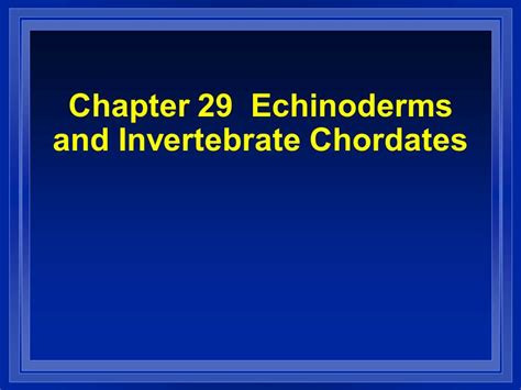 Chapter 29 Echinoderms And Invertebrate Chordates