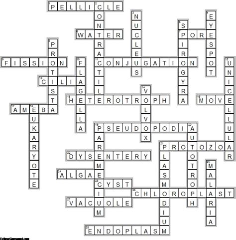 Chapter 3 A Cell Crossword Puzzle Answers