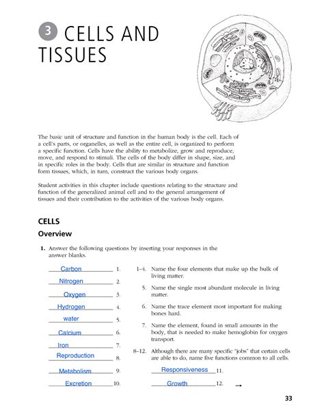 Chapter 3 Cells And Tissues Worksheet Answers The Animal Tissue Worksheet - Animal Tissue Worksheet