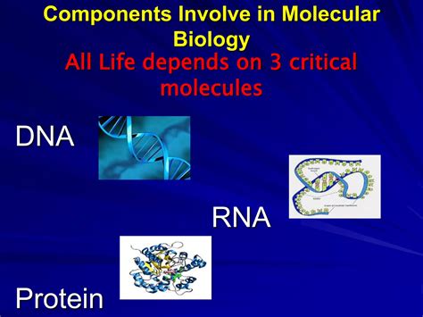 Chapter 3 Introduction To Molecular Symmetry