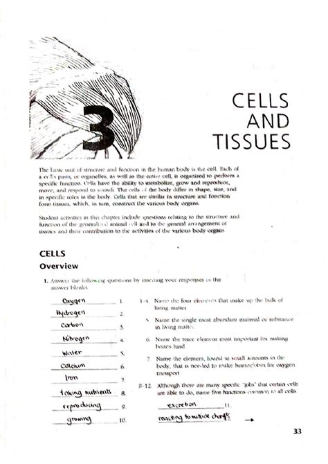 Chapter 3 Workbook Cells And Tissues Studocu Body Tissues Worksheet Answers - Body Tissues Worksheet Answers