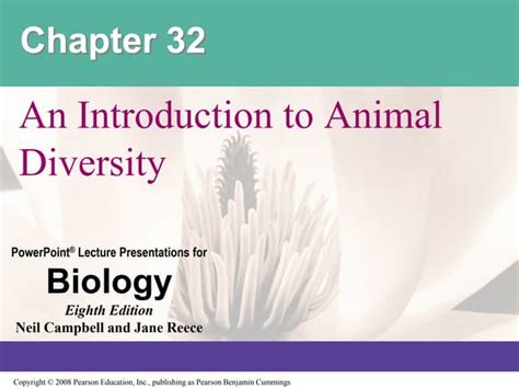 Chapter 32 An Introduction To Animal Diversity Weebly