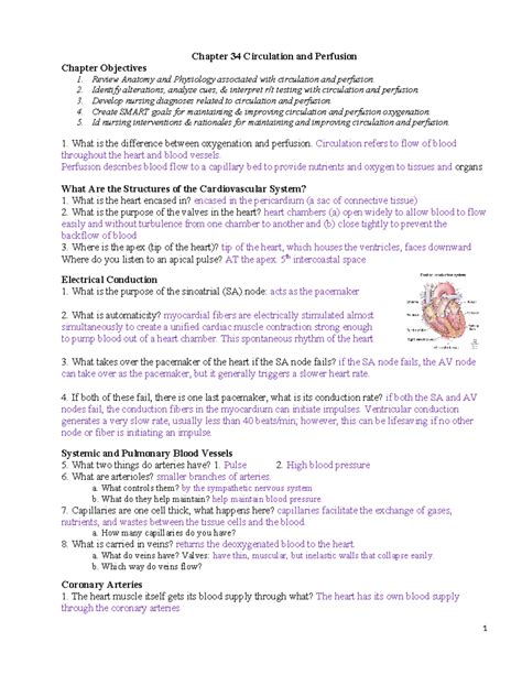 Chapter 34 Circulation In Humans Concept Mapping