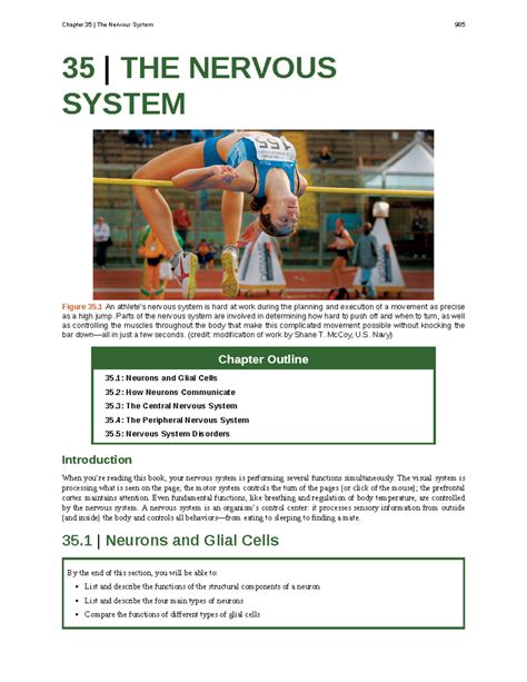 Chapter 35 Nervous System Workbook Answers