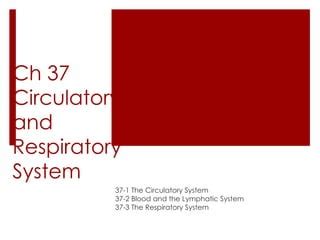 Chapter 37 2 Circulatory And Respiratory Systems Answer Key