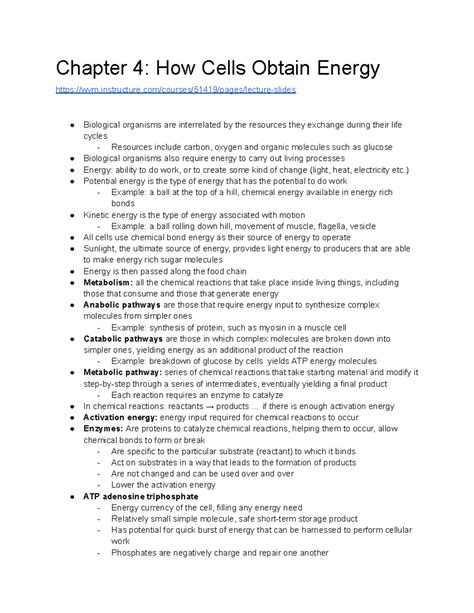 Chapter 4 Cells And Energy Vocabulary Practice Answers