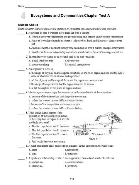 Chapter 4 Ecosystems Communities Work Answer Key