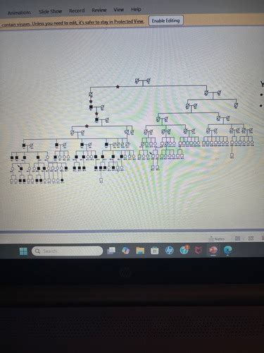 Chapter 4 Pedigree Analysis In Human Genetics Answers