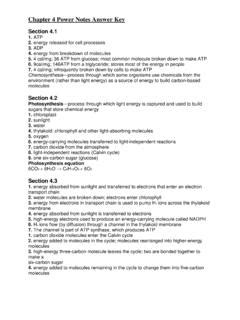 Chapter 4 Power Notes Answer Key Weebly