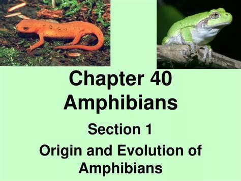 Chapter 40 Amphibians Study Guide Answers