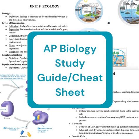 Chapter 42 Ap Biology Study Guide Answers