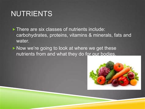 Chapter 5 Nutrients At Work Answers