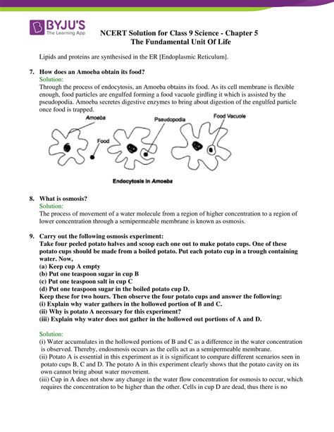 Chapter 5 Science Class 9 Notes