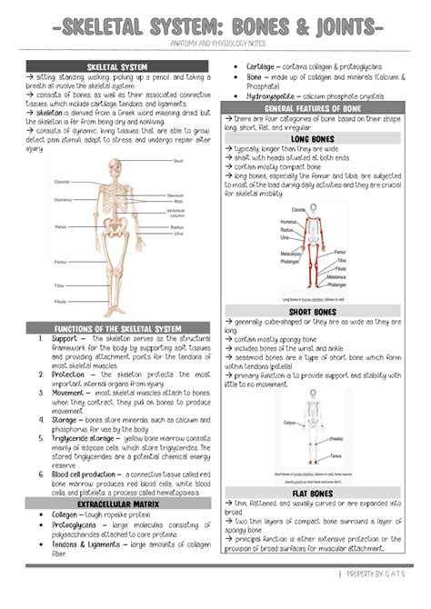 Chapter 5 Skeletal System Study Answers