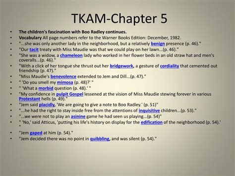 Chapter 5 Tkam Summary