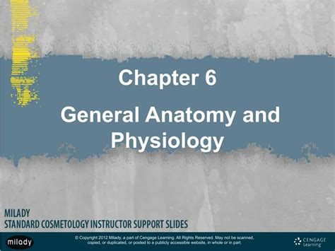 chapter 6 general anatomy and physiology answer key