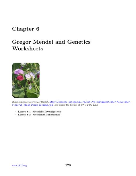 Chapter 6 Gregor Mendel And Genetics Worksheets K12 Gregor Mendel Worksheet Answers - Gregor Mendel Worksheet Answers