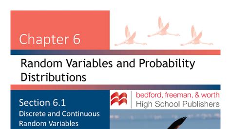 Chapter 6 Random Variables Continuous Case