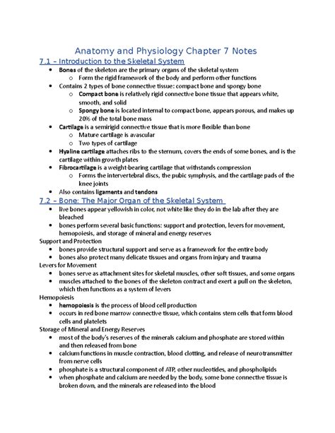 Chapter 7 8 Anatomy Physiology Test