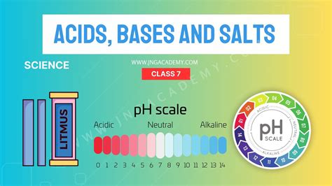 Chapter 7 Acids Bases And Solutions Cross Word Puzzle