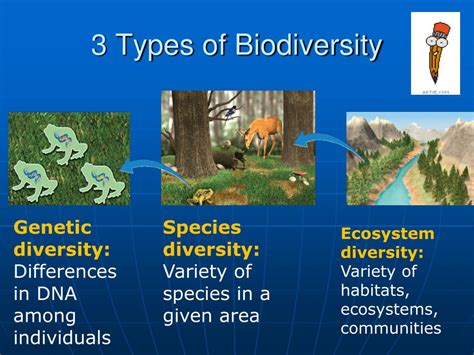 Chapter 7 Biodiversity And Ecosystem Health