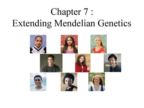 Chapter 7 Extending Mendelian Genetics Answers