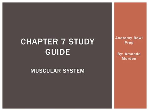 Chapter 7 Study For Content Mastery Answer Key