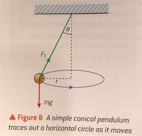 chapter 7.3 physics circular motion review Flashcards Quizlet