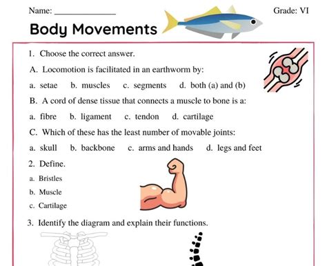 Chapter 8 Body Movements Worksheet For Class 6 Body Movements Worksheet - Body Movements Worksheet
