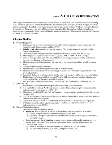 Chapter 8 Cellular Respiration Study Guide